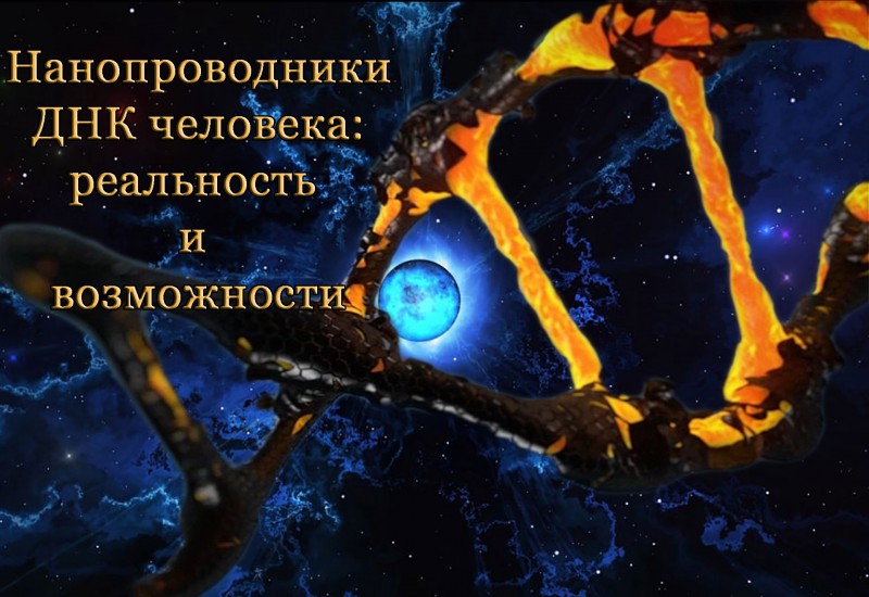 ЧЕЛОВЕК КАК ЖИВОЙ КОМПЬЮТЕР